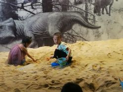 -恐龙探索乐园(磁器口店)