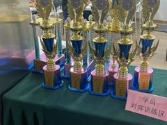 -常青藤国际象棋(新奥店)