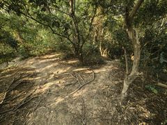 -燕晗山郊野公园