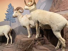 -陕西自然博物馆