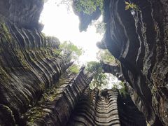 -梭布垭石林景区