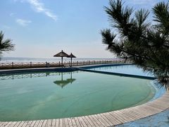 -日照海滨国家森林公园