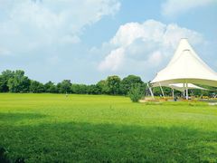 -石家庄市植物园