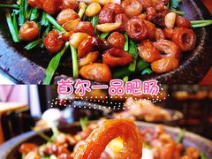 首尔一品肥肠-首尔大排档