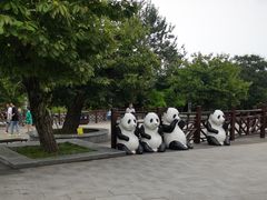 -西安秦岭野生动物园