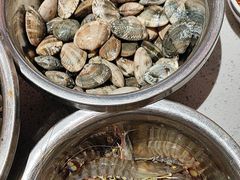 -77号渔船·蒸海鲜青岛菜(积米崖店)