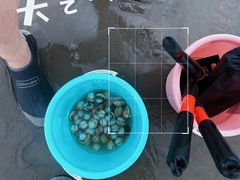 -启东黄金海滩景区