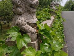 -南湖船菜大酒店