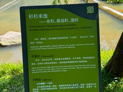 -云溪植物园