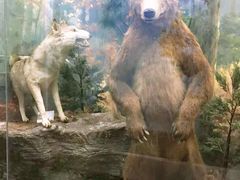 -国家自然博物馆