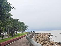 -野狸岛