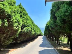 -秦始皇帝陵博物院(兵马俑)