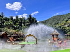 -西双版纳原始森林公园