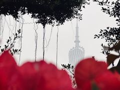 -广州市纺织服装职业学校