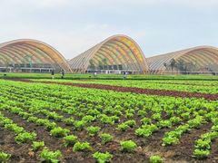 -中国天府农业博览园