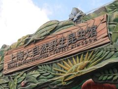 -上海大自然野生昆虫馆(东方明珠·爬宠昆虫探索中心)