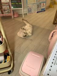 -Beauty Nails 美甲美睫皮肤管理