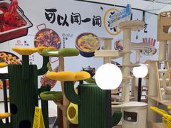 -帕帕拉兹宠物(亚洲旗舰店)