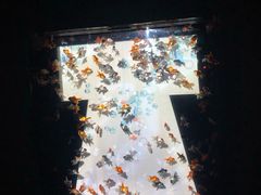 -上海环球金融中心云端足球盛典