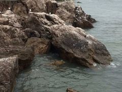 -海驴岛(荣成市)