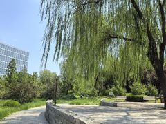 -元大都城垣遗址公园