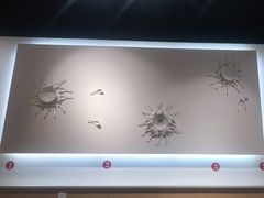 -杨翔豆皮涮牛肚(华阳城店)