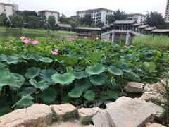 -西海子公园