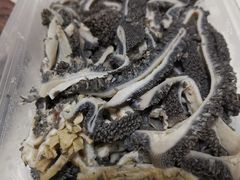 -洪记白水羊头(天坛店)