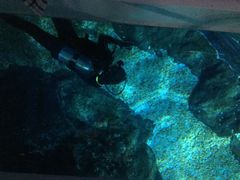 -暹罗海洋世界