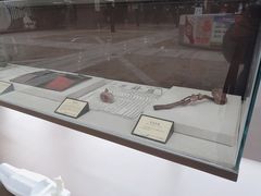 -北京中医药大学东直门医院(通州院区)