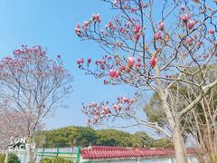 -凤凰沟景区