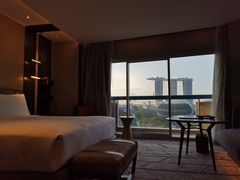 -新加坡瑞士史丹福酒店