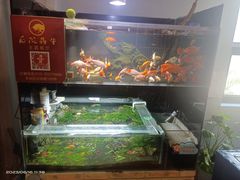 -后院犇牛主题餐厅(云岗店)
