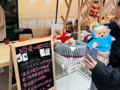 -佛山京华广场MALL