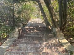 -崂山巨峰游览区