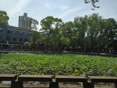 -四川大学(望江校区)