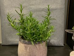 -花言草语(灵山路店)