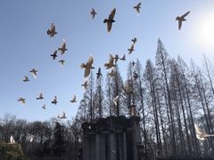 -音乐台