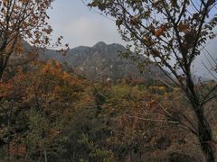-北京鹫峰国家森林公园