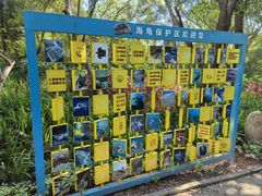 -广东惠东海龟国家级自然保护区