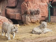 -鄂尔多斯野生动物园