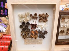 -二酉书店TOYOU BOOKS