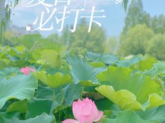 -大宁公园