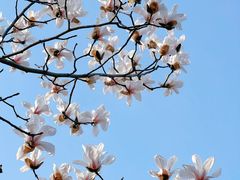 -广富林郊野公园