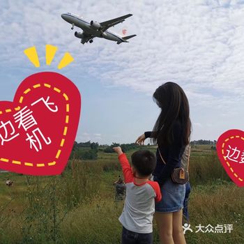 风和日丽 看个飞机 摘个草莓