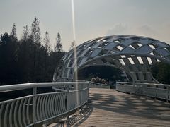 -同里国家湿地公园
