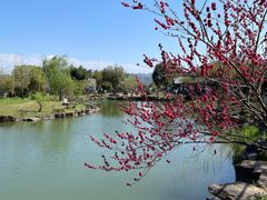 -兰亭风景区