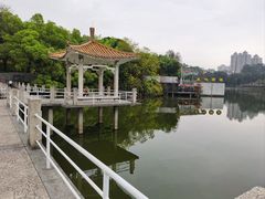 -鹿鸣酒家(越秀店)
