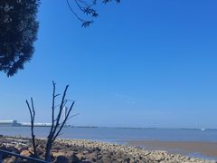 -上海吴淞炮台湾国家湿地公园