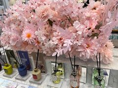 -永旺梦乐城国际商城(北清路店)